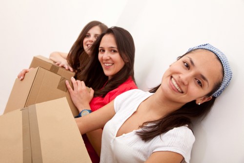 Public liability insurance and safe removals service concept
